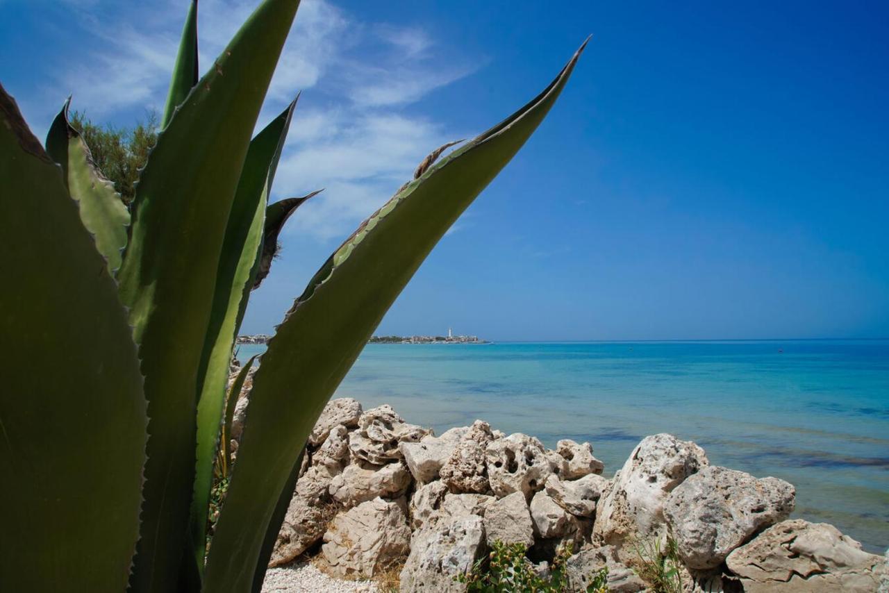Bed and Breakfast Aurelia Sea View Torre Canne Exterior foto